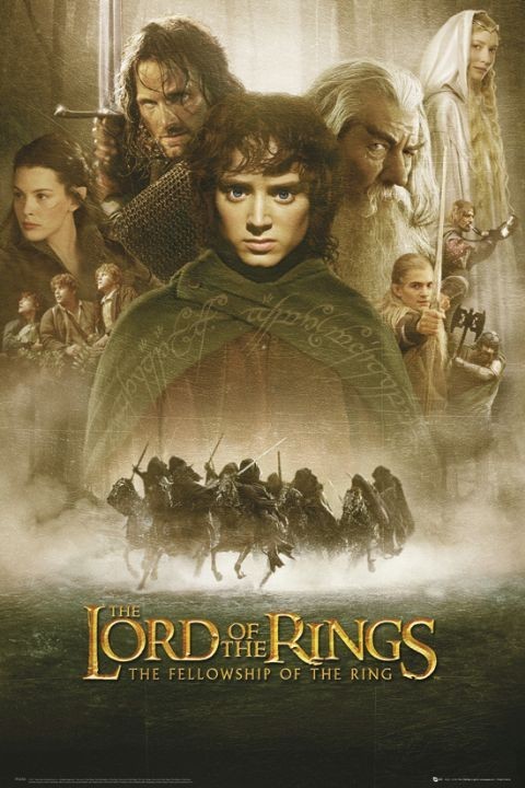 The Lord of the Rings:
              The Fellowship of the Ring (2001)